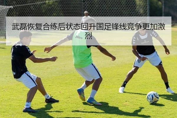 武磊恢复合练后状态回升国足锋线竞争更加激烈